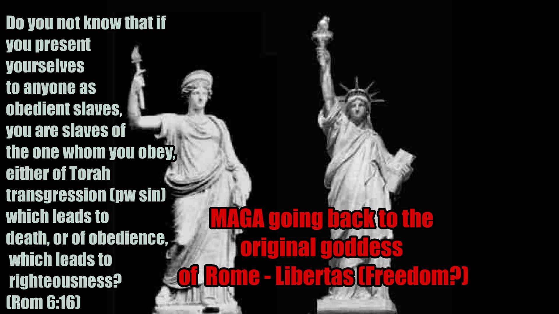 Maga Going back To Rome