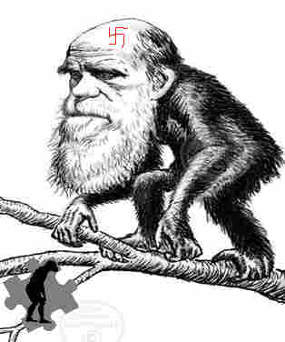 Darwin Swastika